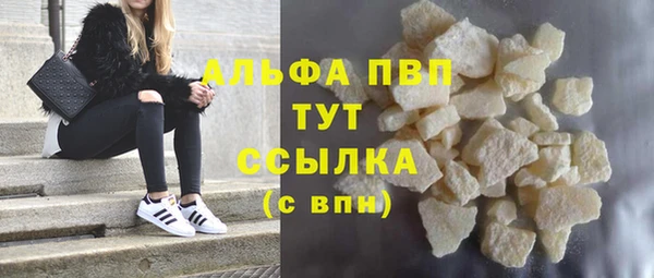 твердый Аркадак