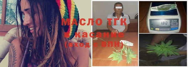 твердый Аркадак