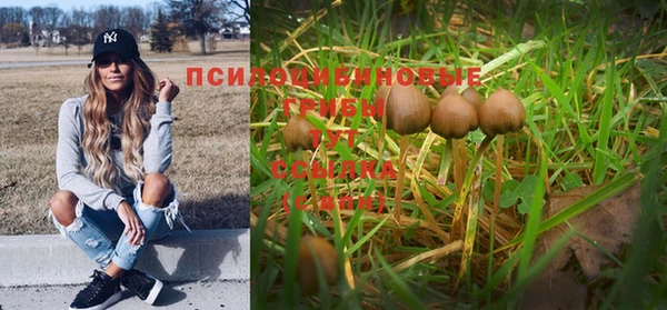 мяу мяу мука Армянск