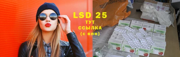 стафф Богородицк