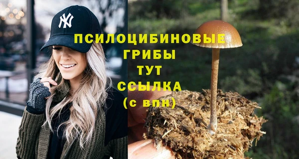мяу мяу мука Армянск