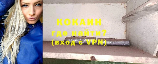 твердый Аркадак