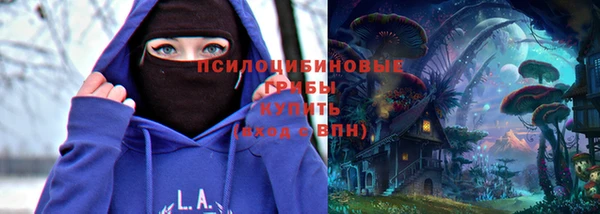 дживик Баксан