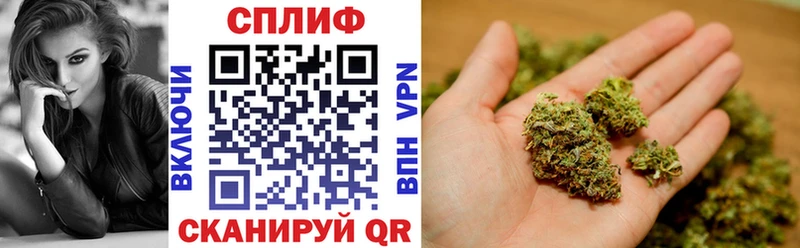 Конопля ГИДРОПОН  omg зеркало  Новый Оскол 