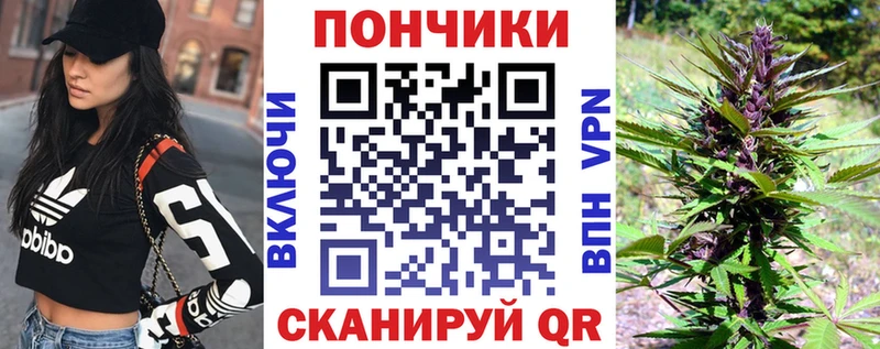 Конопля сатива Новый Оскол